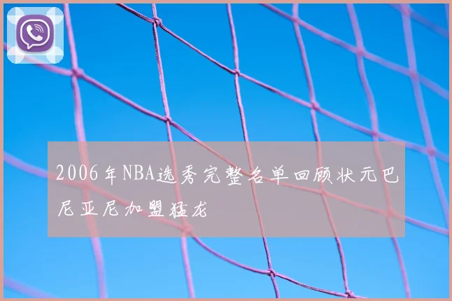 2006年NBA选秀完整名单回顾状元巴尼亚尼加盟猛龙