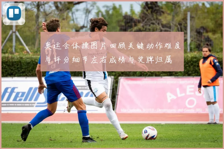 奥运会体操图片回顾关键动作难度与评分细节左右成绩与奖牌归属