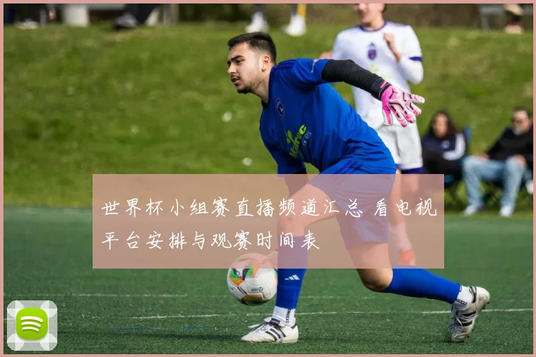 世界杯小组赛直播频道汇总 看电视平台安排与观赛时间表