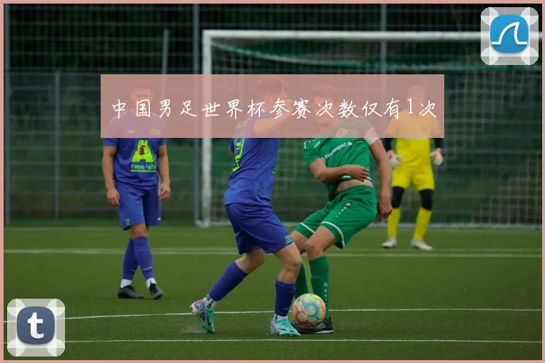 中国男足世界杯参赛次数仅有1次