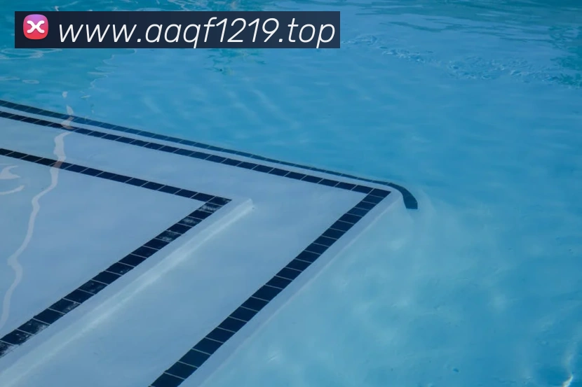 世界杯官方网络平台发展历程